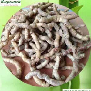 Ba kích | Ba kích tím | Sâm ba kích