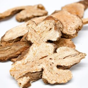 Bạch truật | Bạch truật chữa bệnh gì | Địa chỉ bán bạch truật