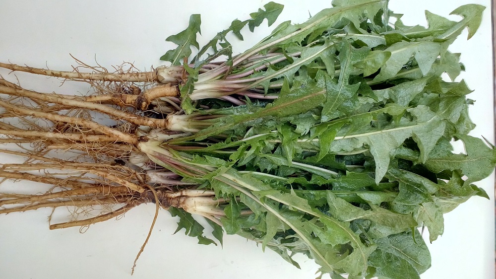 bo-cong-anh-trung-quoc