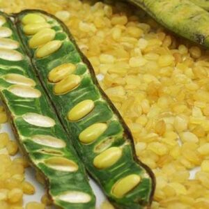 Bồ mễ | Tuyết liên tử