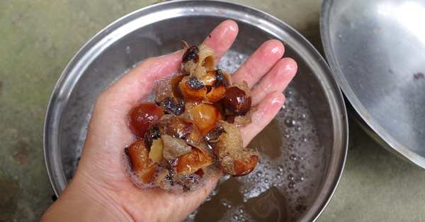 bo_hon_la_gi_2 bo_hon_la_gi_2