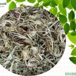 Hoa atiso | Bông Atiso | Nhụy atiso | Thân atiso | Lá atiso | Rễ atiso