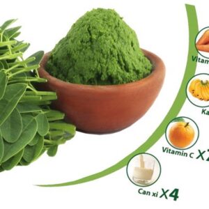 Cây chùm ngây | Hạt chùm ngây | Bột chùm ngây | Trà chùm ngây | Rễ cây chùm ngây