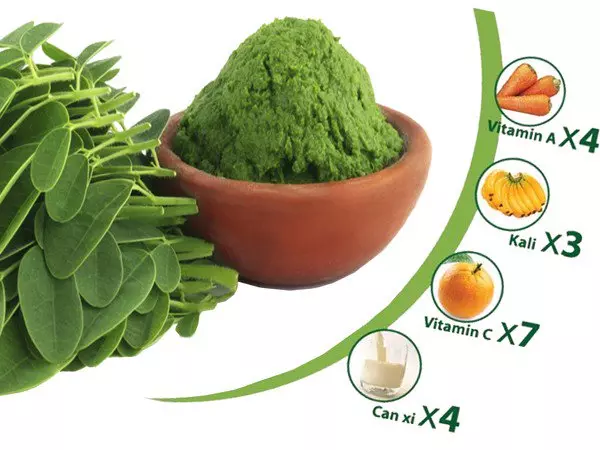 Bột lá chùm ngây | địa chỉ bán bột chùm ngây