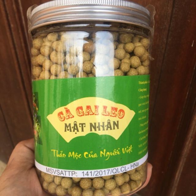 Viên cà gai leo mật nhân chữa bệnh gì