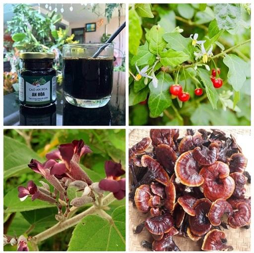 Cao an xoa an hòa kệt hợp cà gai leo, nấm linh chi