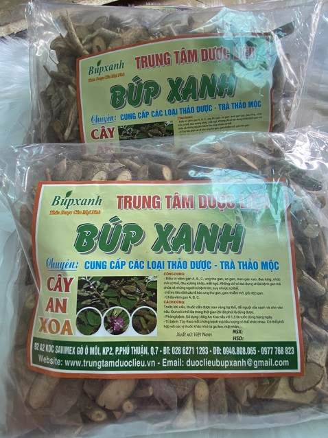 cay-an-xoa-4 Cây an xoa có tác dụng gì? Cách sử dụng Cây an xoa