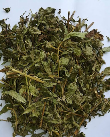 Địa chỉ bán cây cỏ ngọt