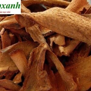 Cốt toái bổ | Cây tắc kè đá | Tổ rồng | Tổ phượng | Bổ cốt toái