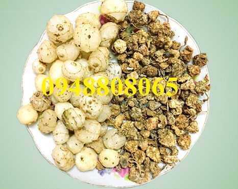 củ sâm một lá khô