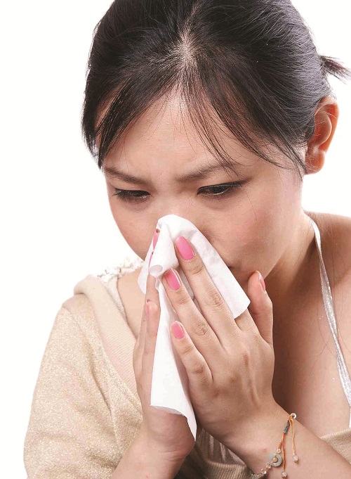 cay-cut-lon-chua-xoang-3d4973b1-b425-4cac-8ee8-915c5a732dd8 Cây cứt lợn | Cây cỏ hôi | Hoa ngũ sắc | Cây bù xít