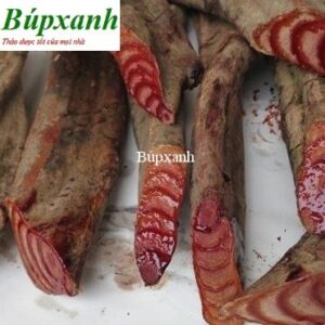 Kê huyết đằng | Địa chỉ bán kê huyết đằng