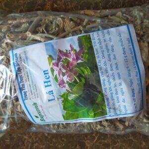 Cây lá hen | Cây bồng bồng | Cây nam tỳ bà | Địa chì bán cây bàng biền