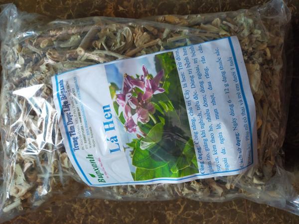 Lá Hen – thảo dược quý trong điều trị đờm – ho – khó thở