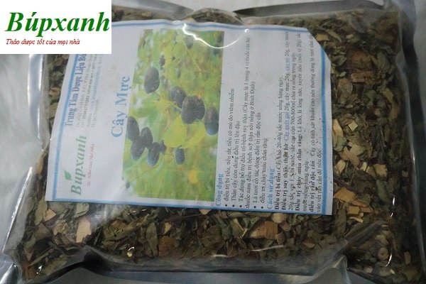 cay-muc-111 Cây mực | cây phèn đen | Địa chỉ bán cây phèn đen | Bán cây mực