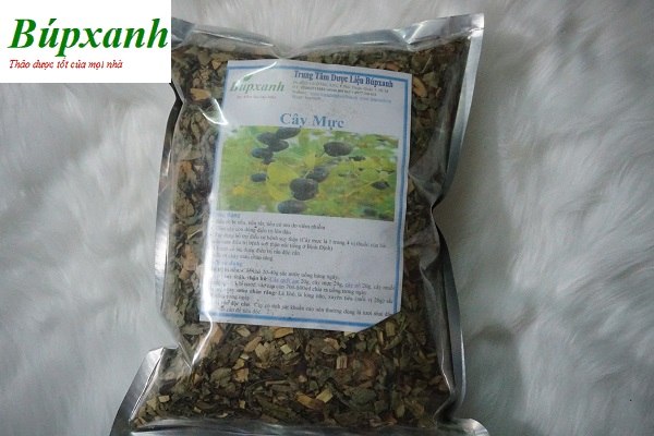 cay-muc-21 Cây mực | cây phèn đen | Địa chỉ bán cây phèn đen | Bán cây mực