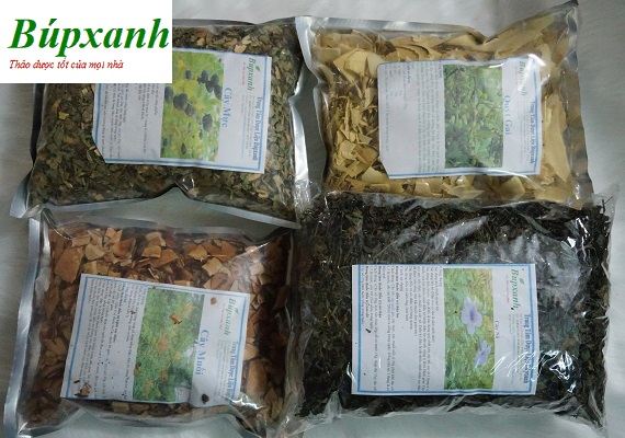 cay-phen-den-2 Cây mực | cây phèn đen | Địa chỉ bán cây phèn đen | Bán cây mực