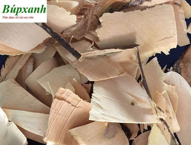 Cây quýt gai | cây gai tầm xoọng | Địa chỉ bán quýt gai khô