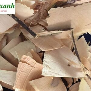 Cây quýt gai | cây gai tầm xoọng