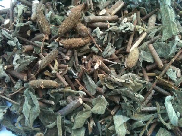 cay-thuoc-an-xoa-bao-ve-gan Cây an xoa, Hình Ảnh, Phân Biệt Công Dụng, Tác Dụng