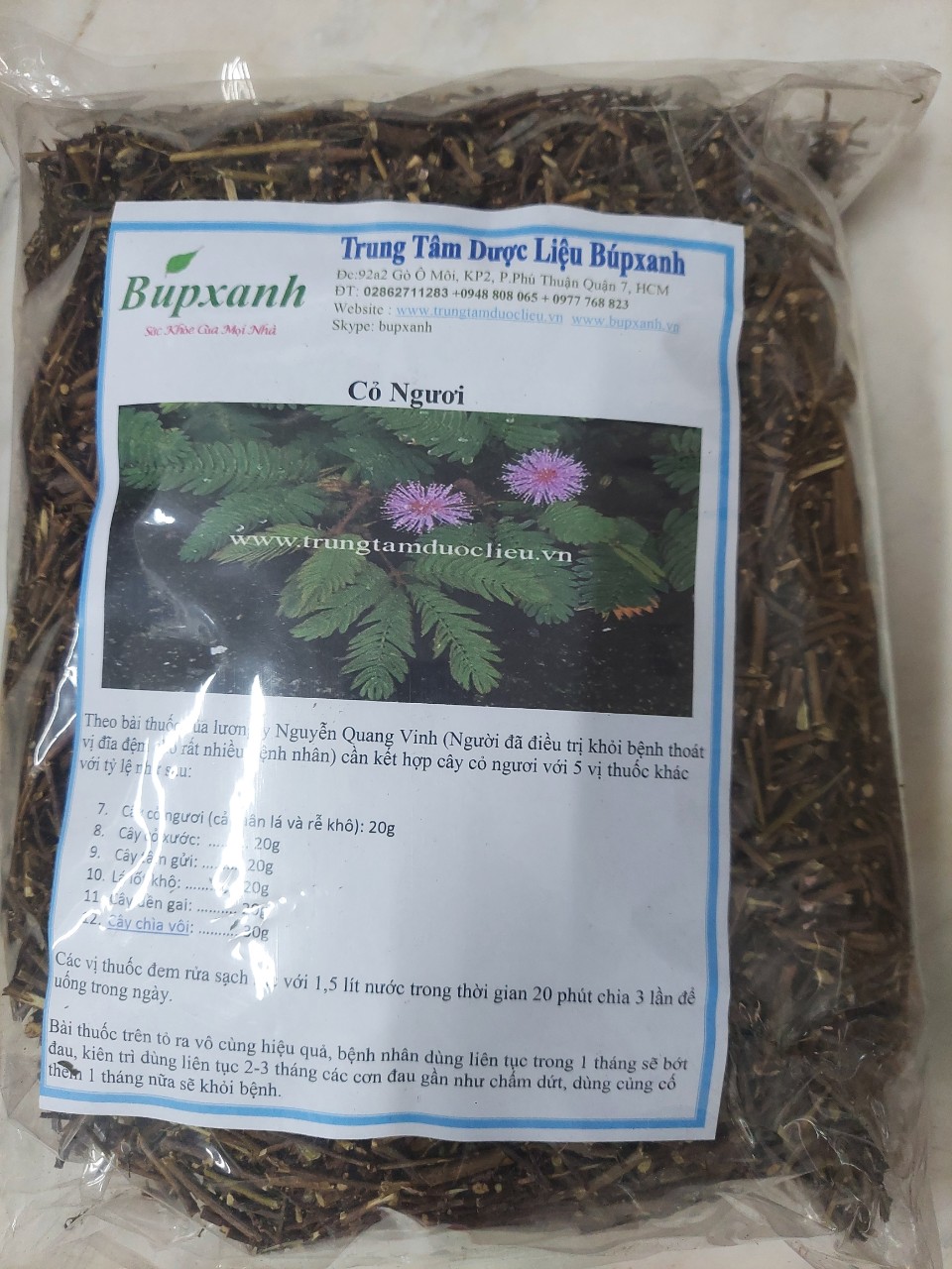 Cây xấu hổ | Cây cỏ ngươi | Cây mắc cỡ | Cây trinh nữ | Địa chỉ bán cây xấu hổ