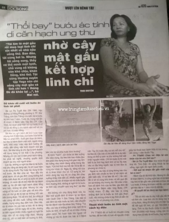 cay_mat_gau__nam_linh_chi_tn Cây mật gấu