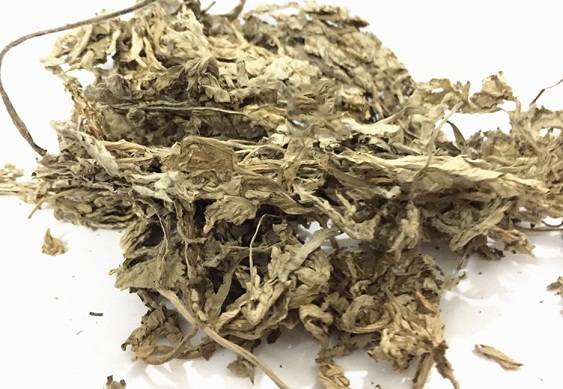 Ngải cứu khô | địa chỉ bán ngải cứu khô