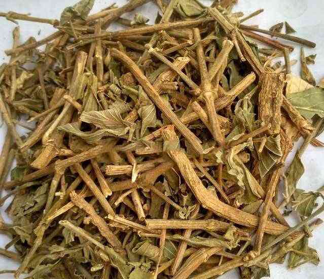 Dạ cẩm, công dụng cây dạ cẩm, địa chỉ bán cây dạ cẩm chữa bệnh dạ dầy