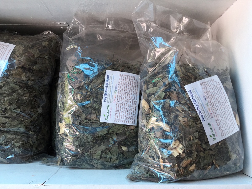 cayladangkho la cay mat gau