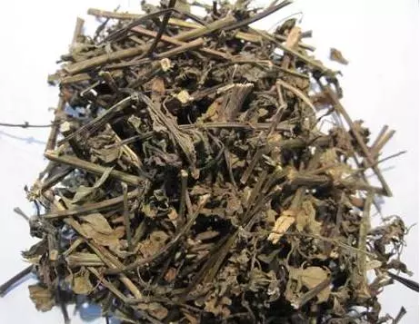 cayraumeokhosoimat cayraumeokhosoimat