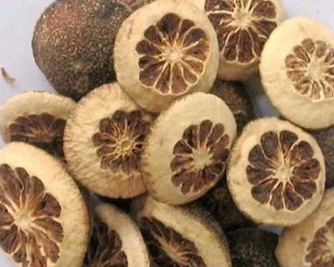 Chỉ xac | địa chỉ bán chỉ xác