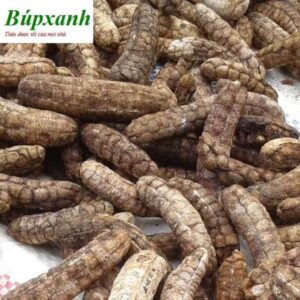 Chuối hột | Chuối hột rừng | Hạt chuối cô đơn | Hạt chuối hột | Mồ côi