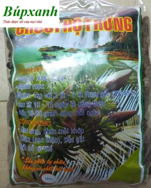 chuoi_hot_rung_2 Chuối hột rừng, địa chỉ bán chuối hột rừng, công dụng chuối hột