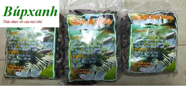 chuoi_hot_rung_3 Chuối hột rừng, địa chỉ bán chuối hột rừng, công dụng chuối hột