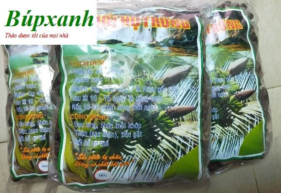 chuoi_hot_rung_5 Chuối hột rừng, địa chỉ bán chuối hột rừng, công dụng chuối hột