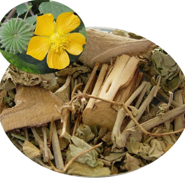 Cây cối xay | Cây kim hoa thảo | Cây nhĩ hương thảo | Cây dằng xay