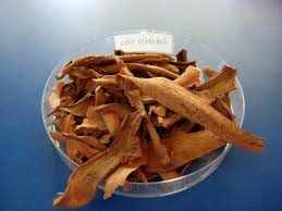 cốt toái bổ, tắc kè đá