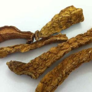 Củ bình Vôi | Ngải tượng | Củ một | Củ mối trôn