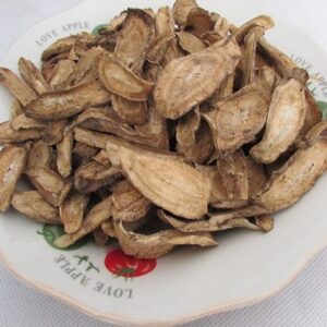 Cây ngưu báng | Cây ngưu bàng | Địa chỉ bán rễ ngưu bàng khô