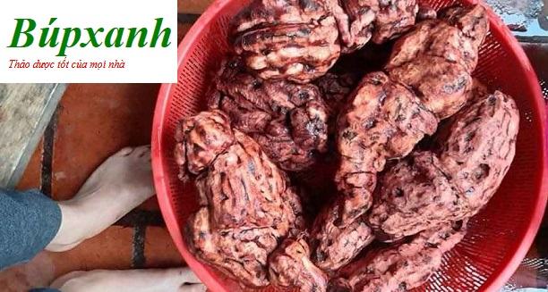 Củ hà thủ ô làm viên