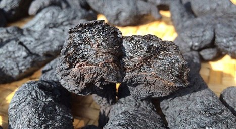 củ thục địa | địa chỉ bán thục địa