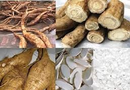 Củ cây sắn dây, công dụng củ sắn dây, địa chỉ bán củ sắn dây