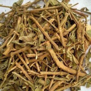 Cây dạ cẩm | Địa chỉ bán cây dạ cẩm khô