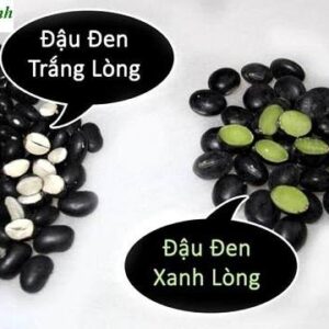 Đậu đen xanh lòng