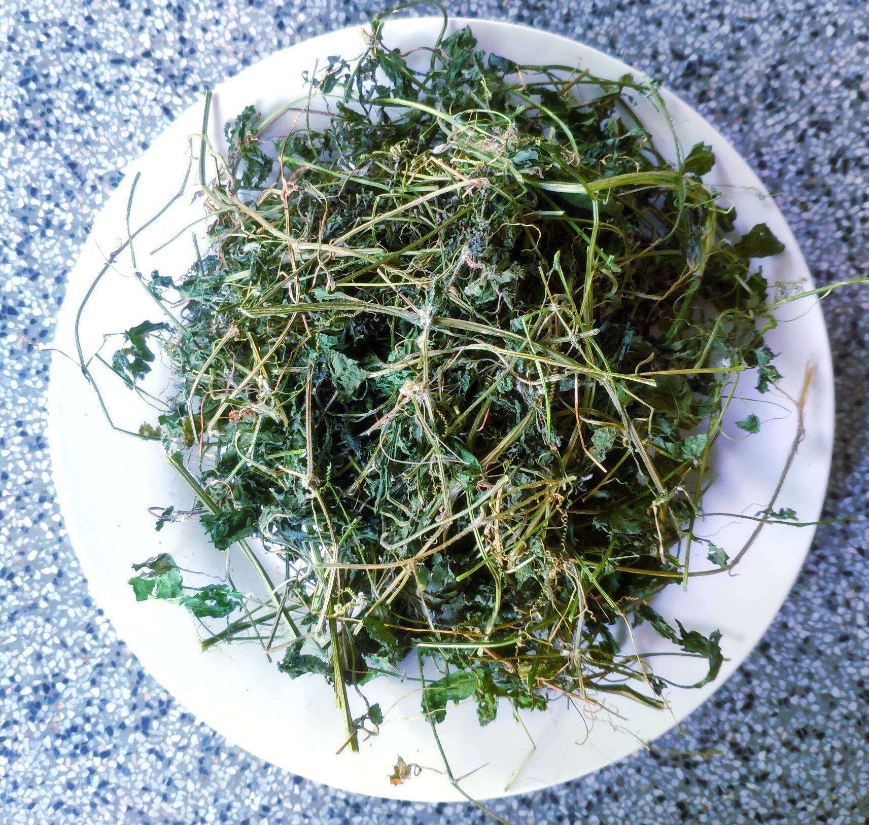 Dây khô qua rừng | địa chỉ bán trà khổ qua rừng | cây mướp đắng rừng