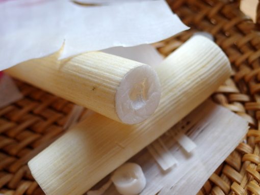 Cây thông thảo | địa chỉ bán thông thảo lợi sữa