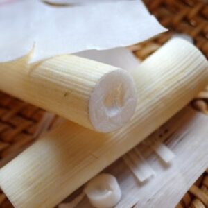 Cây thông thảo | địa chỉ bán thông thảo lợi sữa