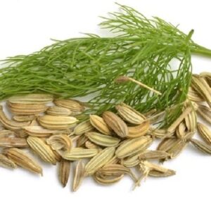 Hạt thì là | Tiểu hồi | Cây thì là | Địa chỉ bán hạt thì là