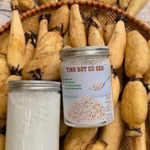 Tinh bột củ sen | địa chỉ bán tinh bột củ sen