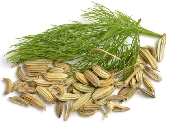 dia_chi_ban_tieu_hoi_uy_tin